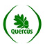 quercus